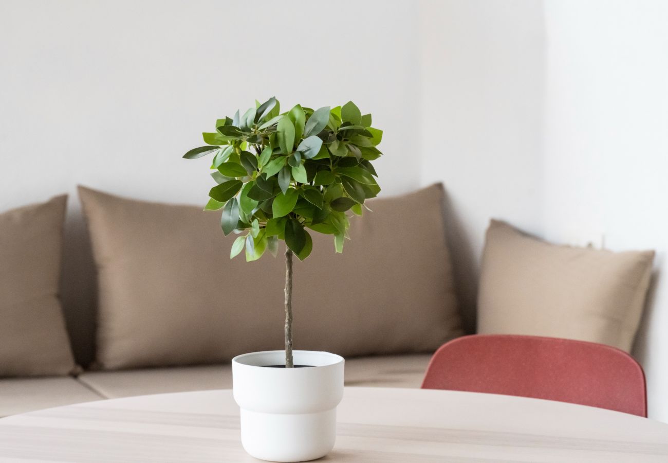 Apartamento en Santa Cruz de Tenerife - Refugio de paz en medio de la naturaleza