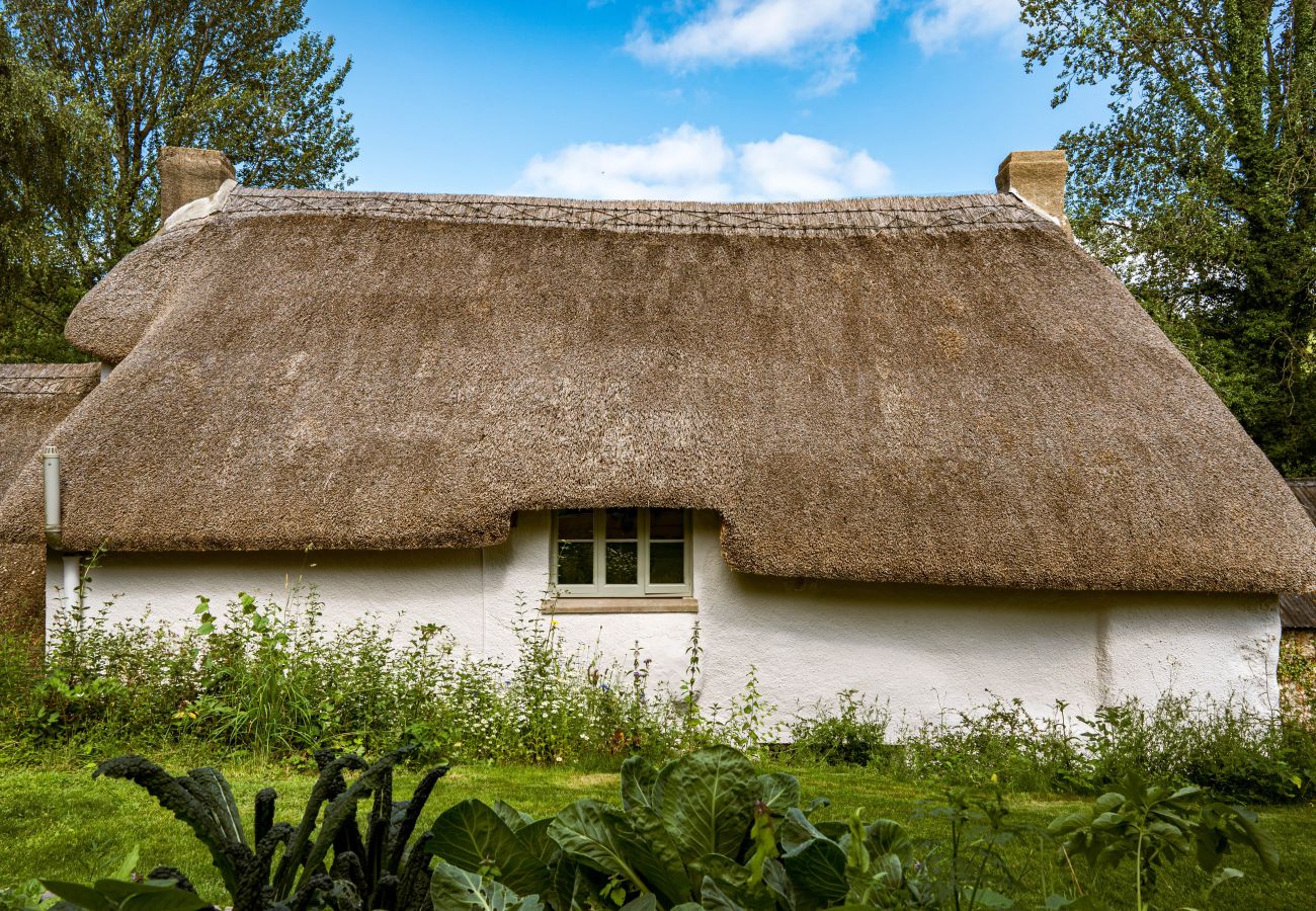 Casa rural en Chagford - Weeke Brook - A 'quintessential' thatched cottage