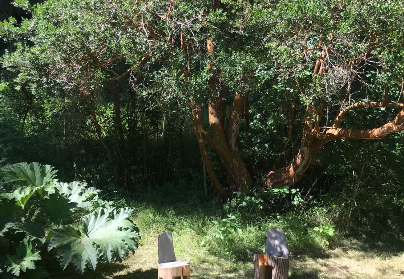 Casa en San Carlos de Bariloche - TREBOL01C- CÓMODA PROPIEDAD CON LINDISIMO ENTORNO SOBRE LAGUNA EL TRÉBOL 