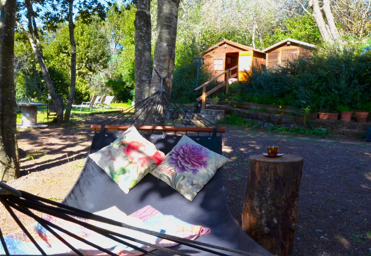 Casa rural en Valleseco - Sombra del Laurel By Canarias Getaway