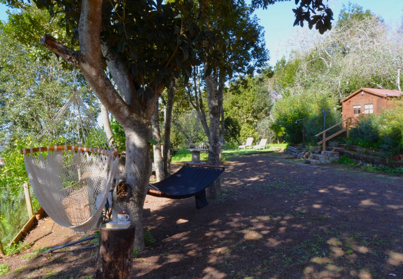 Casa rural en Valleseco - Sombra del Laurel By Canarias Getaway