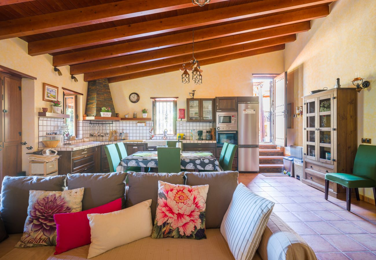 Casa rural en Valleseco - Sombra del Laurel By Canarias Getaway