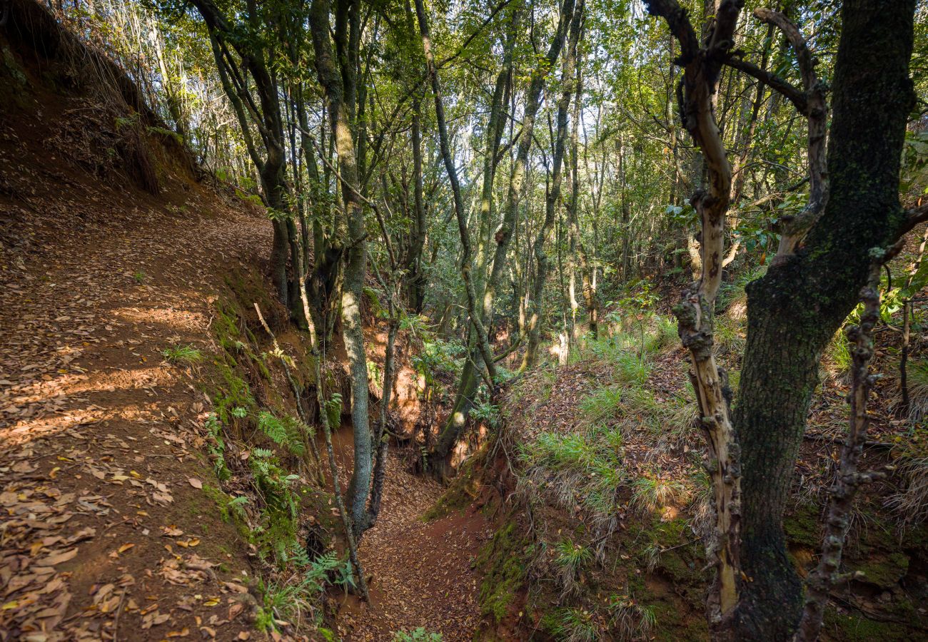 Casa rural en Valleseco - Sombra del Laurel By Canarias Getaway