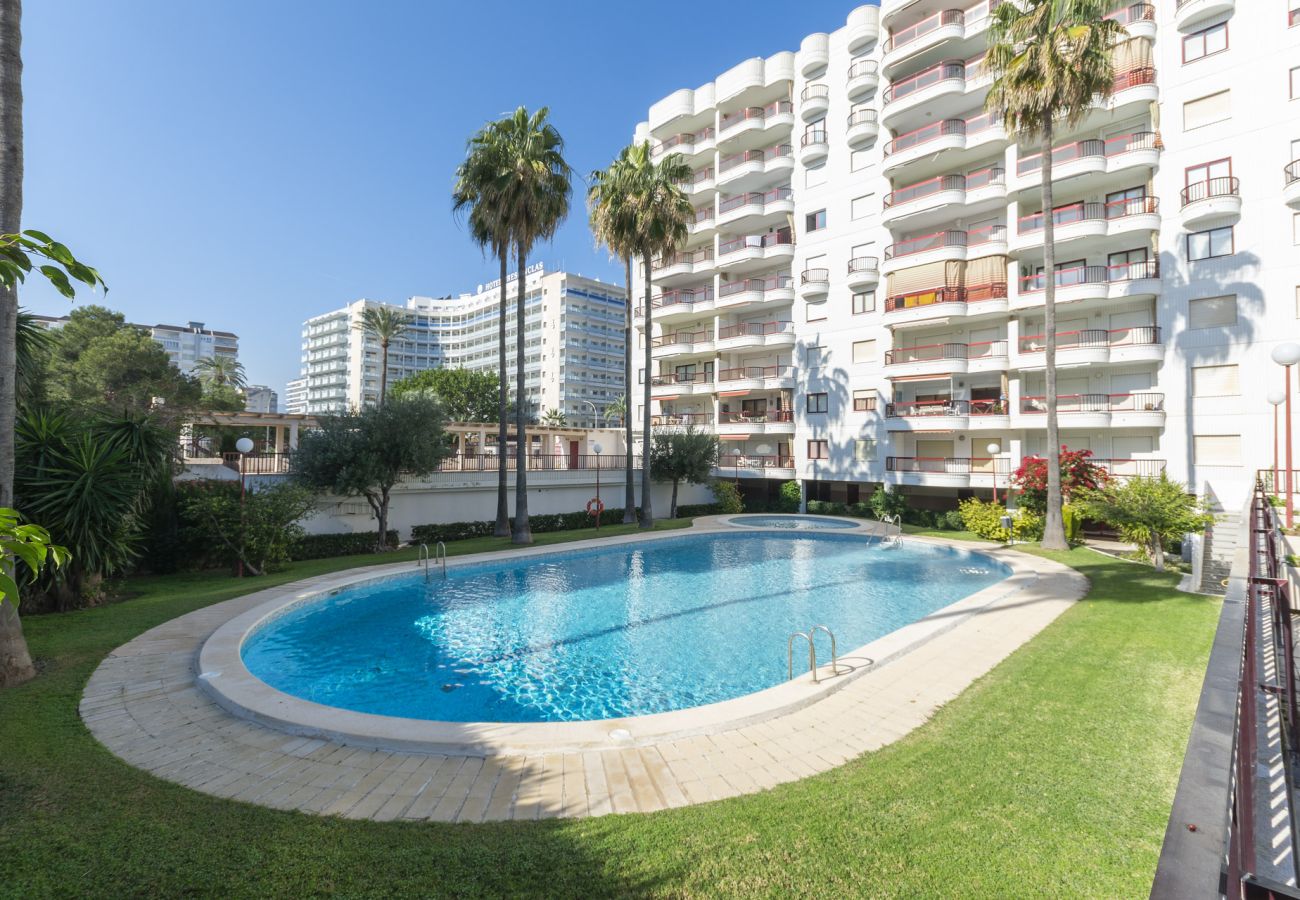 Apartamento en Playa de Gandía - AG SALINAS 9 - alquiler solo familias              