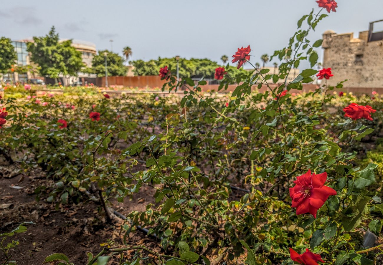 Casa en Las Palmas de Gran Canaria - Castle Views By CanariasGetaway Casa en Las Palmas de Gran Canaria - Castle Views By CanariasGetaway