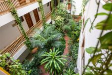 Estudio en Puerto de la Cruz - Estudio en el centro del Puerto de la Cruz 