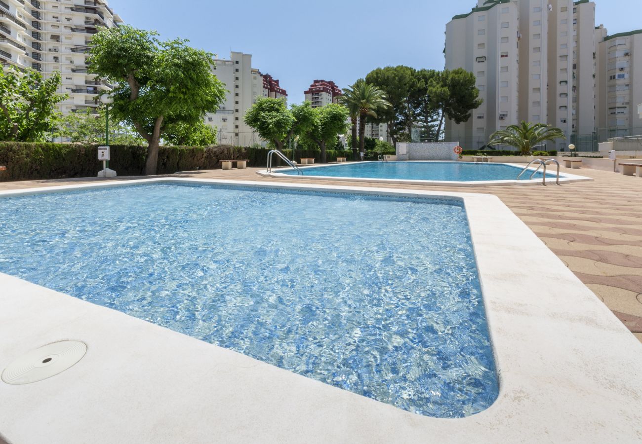 Apartamento en Playa de Gandía - AG PIRÁMIDE