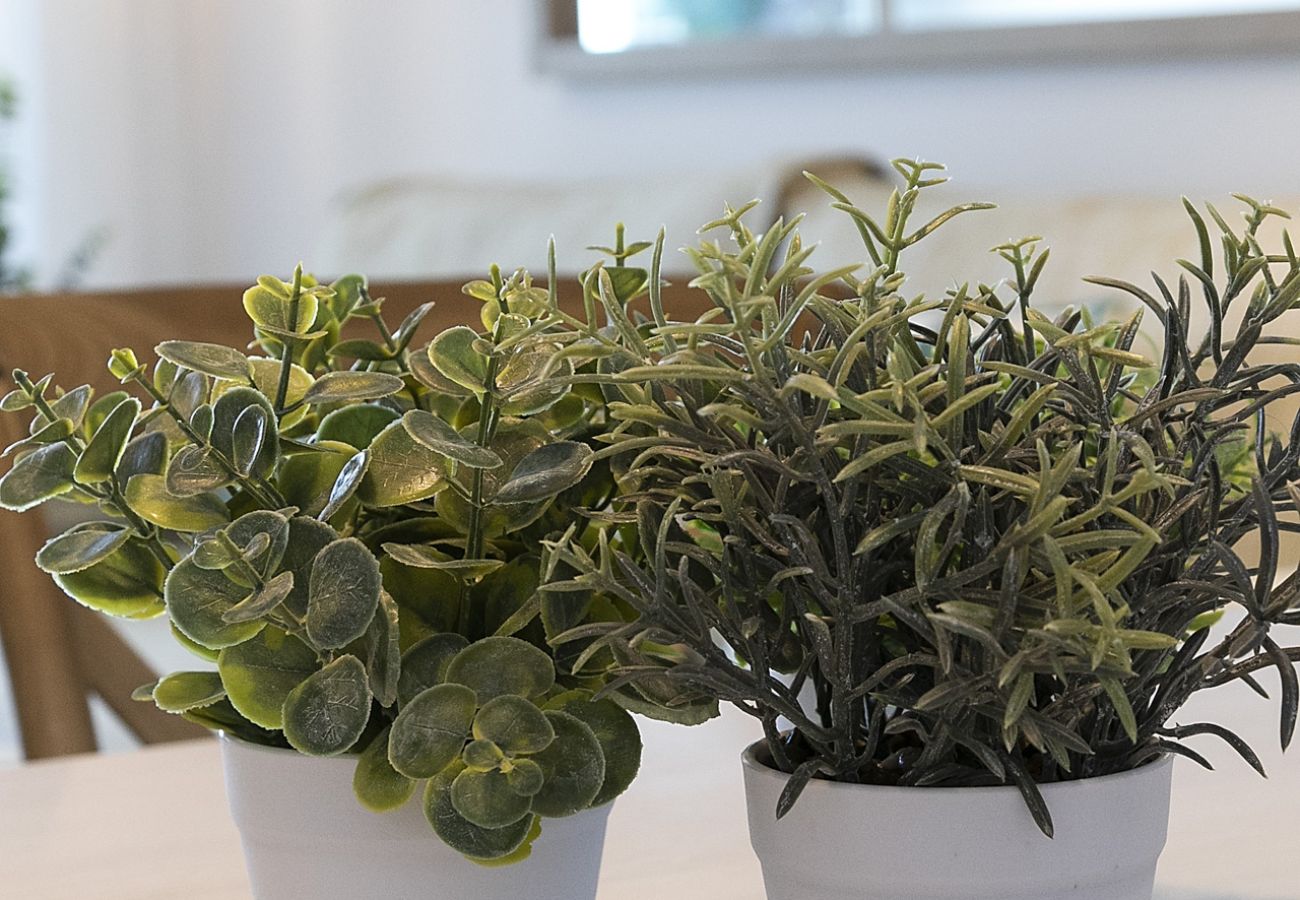 Apartamento en Playa de Gandía - AG PIRÁMIDE