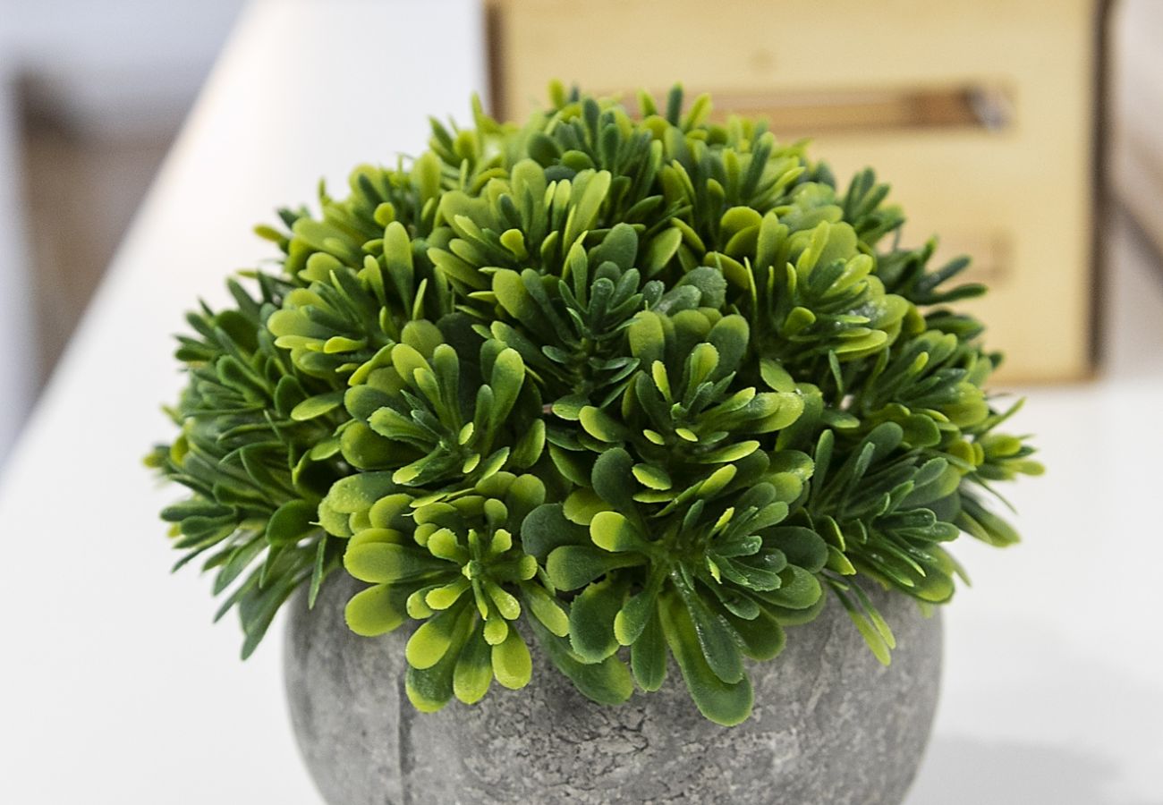 Apartamento en Playa de Gandía - AG PIRÁMIDE