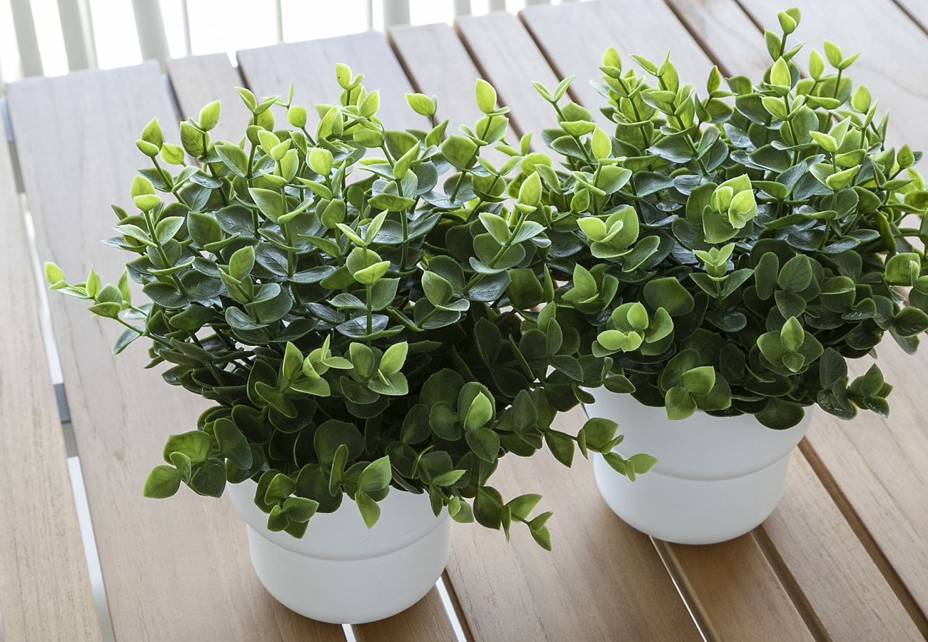 Apartamento en Playa de Gandía - AG PIRÁMIDE