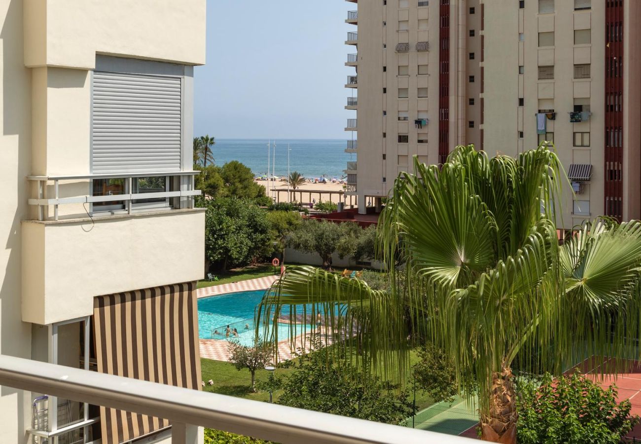 Apartamento en Playa de Gandía - AG OLYMPIA Y ZEUS - alquiler solo familias