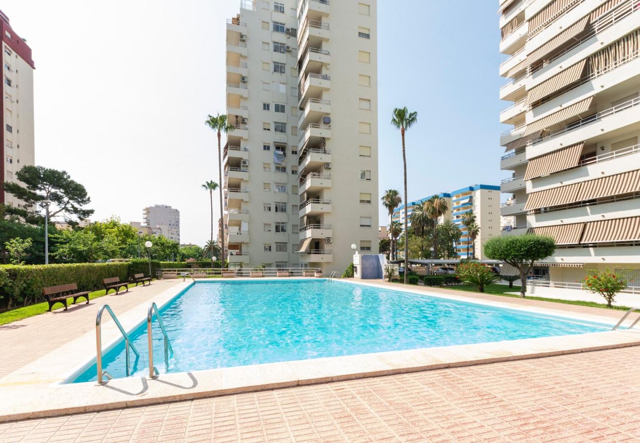Apartamento en Playa de Gandía - AG OLYMPIA Y ZEUS - alquiler solo familias