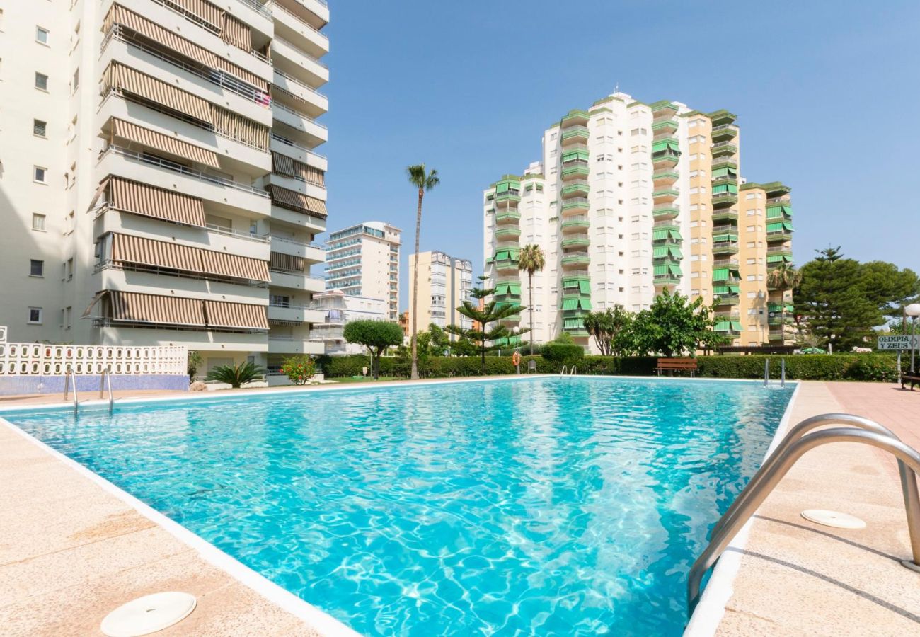 Apartamento en Playa de Gandía - AG OLYMPIA Y ZEUS - alquiler solo familias