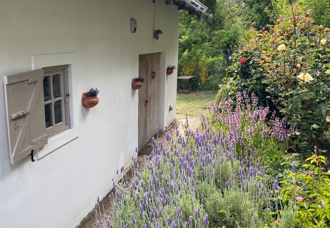 Casa en San Carlos de Bariloche - Casa estilo campo Bramasoles  en Bariloche