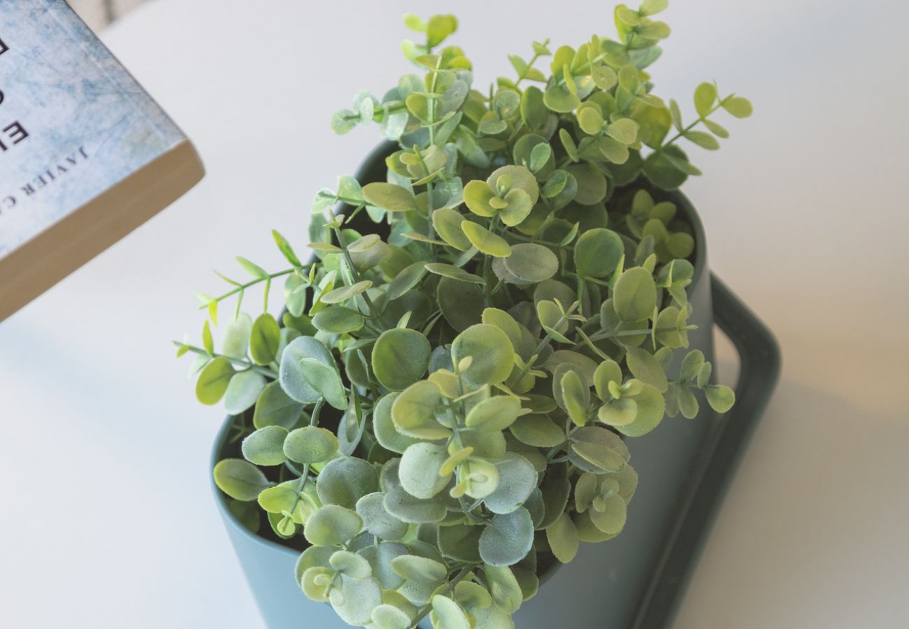 Apartamento en Playa de Gandía - AG CASTILLO DUCAL