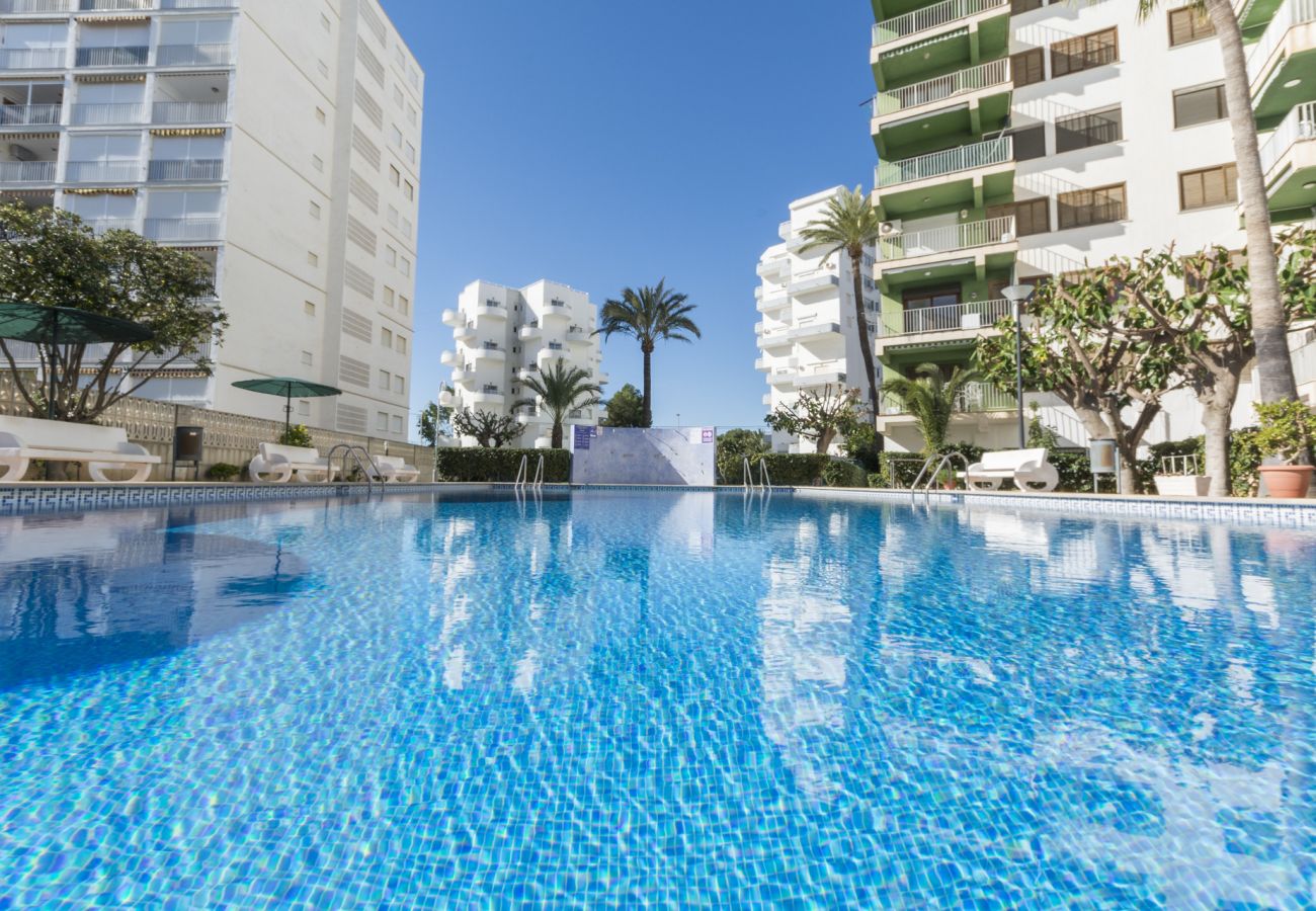 Apartamento en Playa de Gandía - AG CASTILLO DUCAL