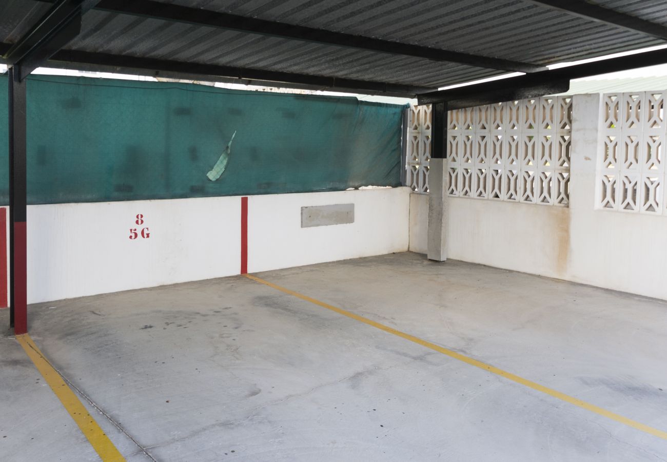 Apartamento en Playa de Gandía - AG CASTILLO DUCAL