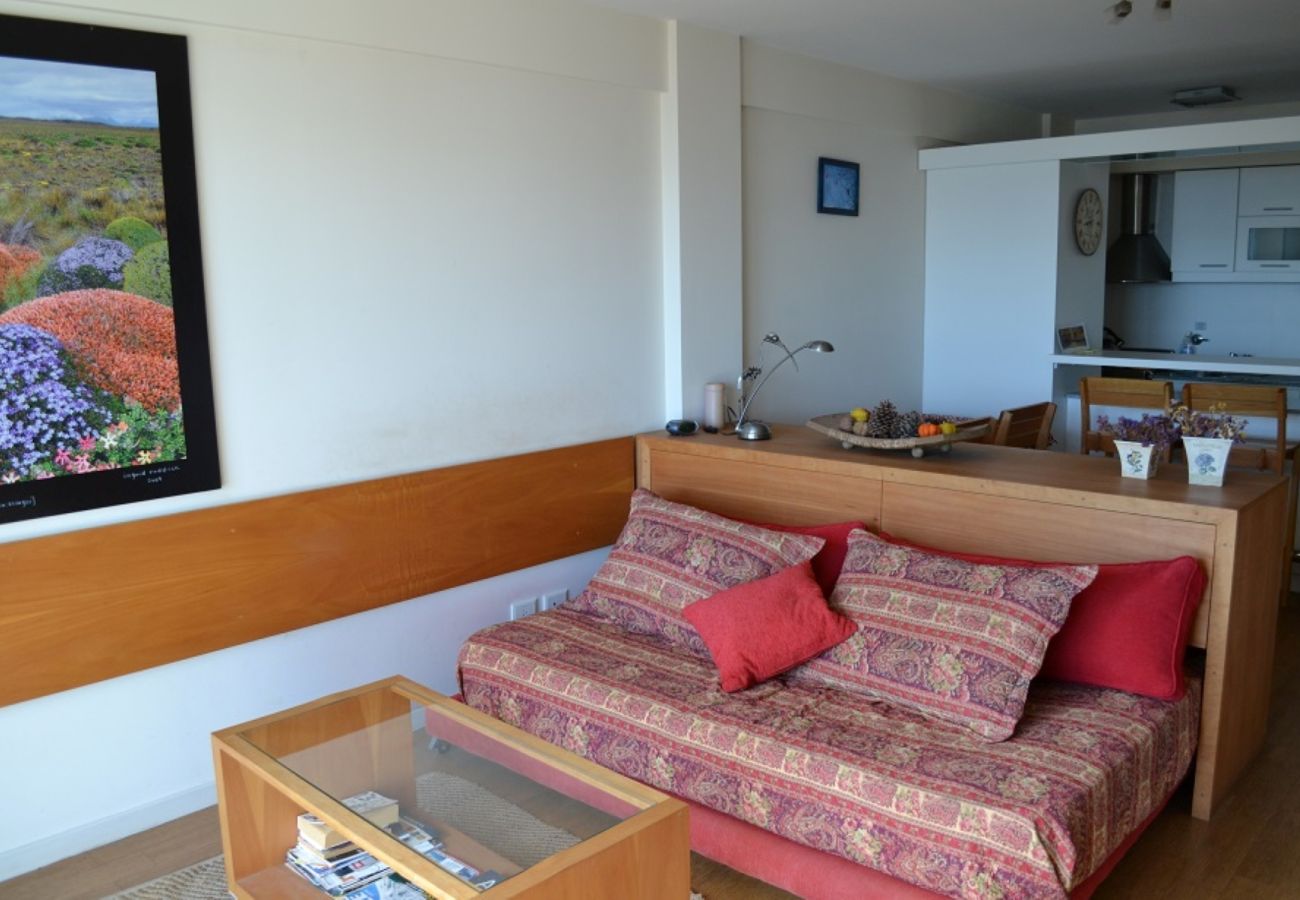Estudio en San Carlos de Bariloche - Studio with Nahuel Huapi Lake view SE