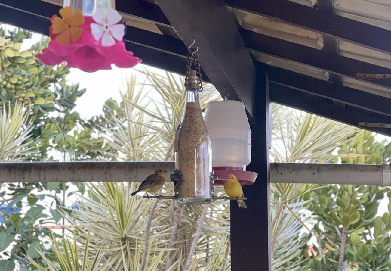 Casa en Iguaba Grande - Refugio Brisa do Campo | IG - MANSIÓN DEL CAMPO