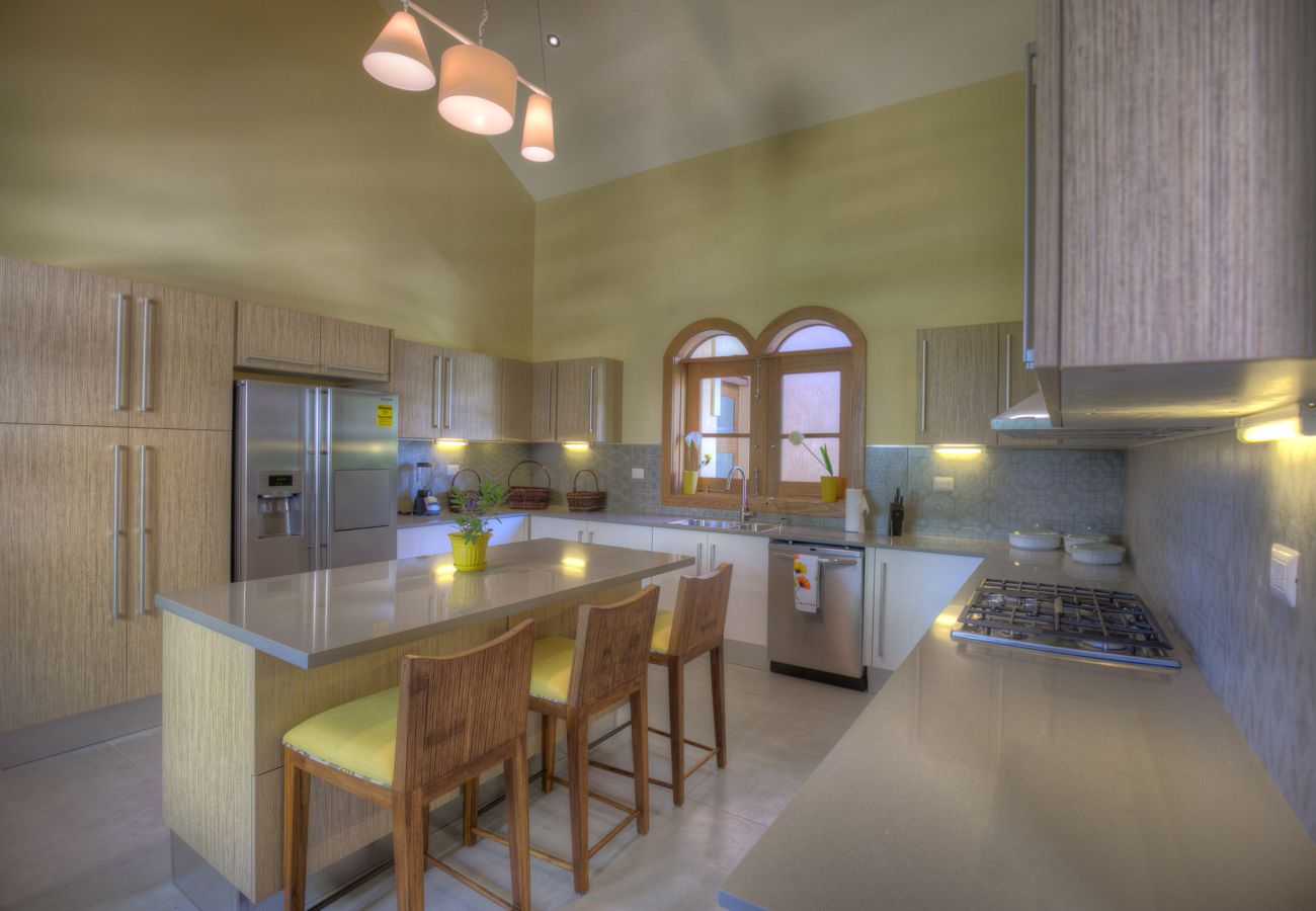 Villa en Punta Cana - Arrecife 24/25 - Incredible Micro Estate Villa