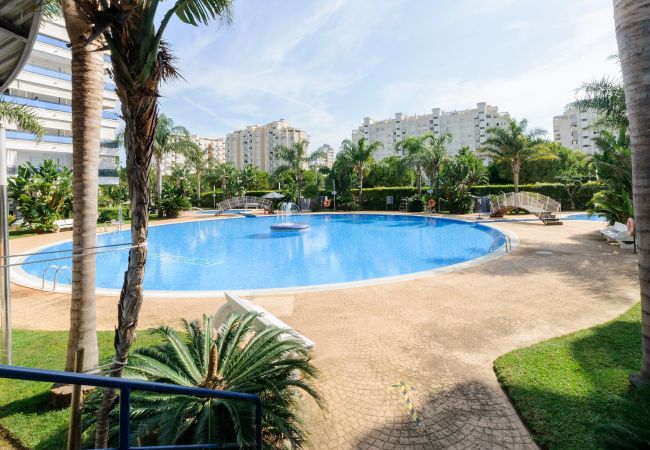 Apartment in Playa de Gandía - Beautiful condo in a gated and family complex close to the beach. Pool / Wifi / Gym / BBQ Apartment in Playa de Gandía - Beautiful condo in a gated and family complex close to the beach. Pool / Wifi / Gym / BBQ