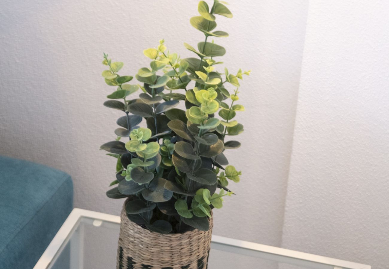 Apartment in Playa de Gandía - Decorated in modern style, with wifi free, International channels, BBQ, children's area, 