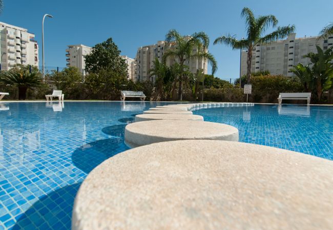 Apartment in Playa de Gandía - Condo with swimming pools / wifi / BBQ. Modern decoration Ideal for families. Apartment in Playa de Gandía - Condo with swimming pools / wifi / BBQ. Modern decoration Ideal for families.