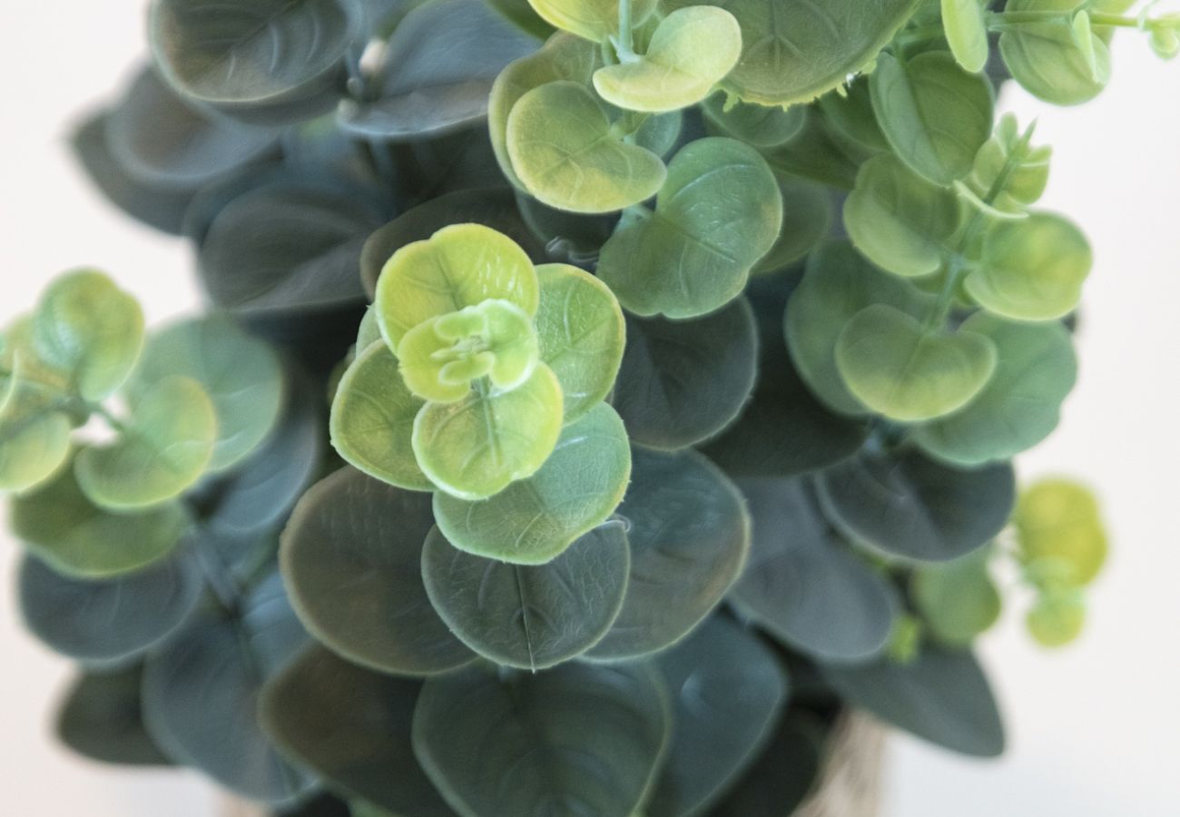 Apartment in Playa de Gandía - Condo with swimming pools / wifi / BBQ. Modern decoration Ideal for families.