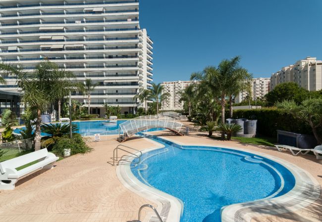 Apartment in Playa de Gandía - Amazing modern style condo, wifi free, interantional channels, heating swimming pool, children's area, BBQ Apartment in Playa de Gandía - Amazing modern style condo, wifi free, interantional channels, heating swimming pool, children's area, BBQ