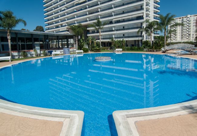 Apartment in Playa de Gandía - Amazing modern style condo, wifi free, interantional channels, heating swimming pool, children's area, BBQ Apartment in Playa de Gandía - Amazing modern style condo, wifi free, interantional channels, heating swimming pool, children's area, BBQ