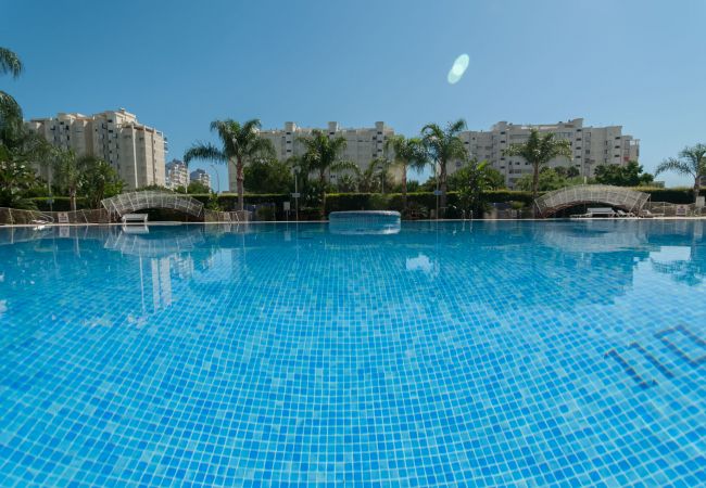 Apartment in Playa de Gandía - Amazing modern style condo, wifi free, interantional channels, heating swimming pool, children's area, BBQ Apartment in Playa de Gandía - Amazing modern style condo, wifi free, interantional channels, heating swimming pool, children's area, BBQ
