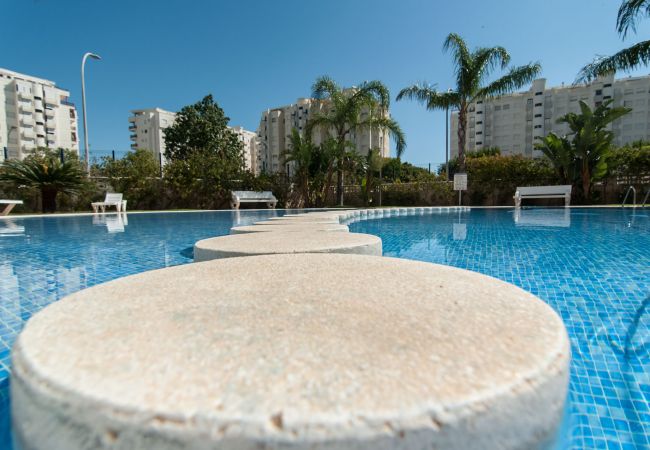 Apartment in Playa de Gandía - Amazing modern style condo, wifi free, interantional channels, heating swimming pool, children's area, BBQ Apartment in Playa de Gandía - Amazing modern style condo, wifi free, interantional channels, heating swimming pool, children's area, BBQ