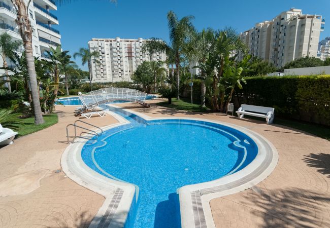 Apartment in Playa de Gandía - Amazing modern style condo, wifi free, interantional channels, heating swimming pool, children's area, BBQ Apartment in Playa de Gandía - Amazing modern style condo, wifi free, interantional channels, heating swimming pool, children's area, BBQ
