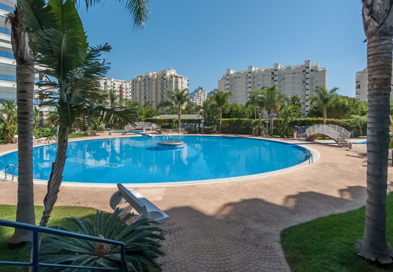 Apartment in Playa de Gandía - Amazing modern style condo, wifi free, interantional channels, heating swimming pool, children's area, BBQ Apartment in Playa de Gandía - Amazing modern style condo, wifi free, interantional channels, heating swimming pool, children's area, BBQ