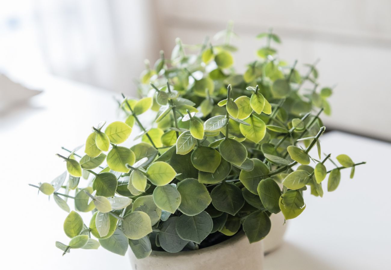 Apartment in Playa de Gandía - Apartment with modern decoration. Ideal for families.