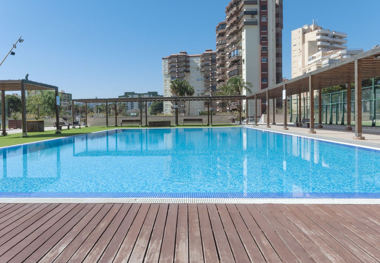 Apartment in Playa de Gandía - Luxurious and Beautiful three Bedroom Beachfront Property Apartment in Playa de Gandía - Luxurious and Beautiful three Bedroom Beachfront Property