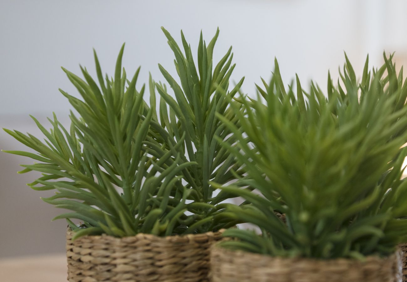 Apartment in Playa de Gandía - Condo decorated in modern style, with wifi.