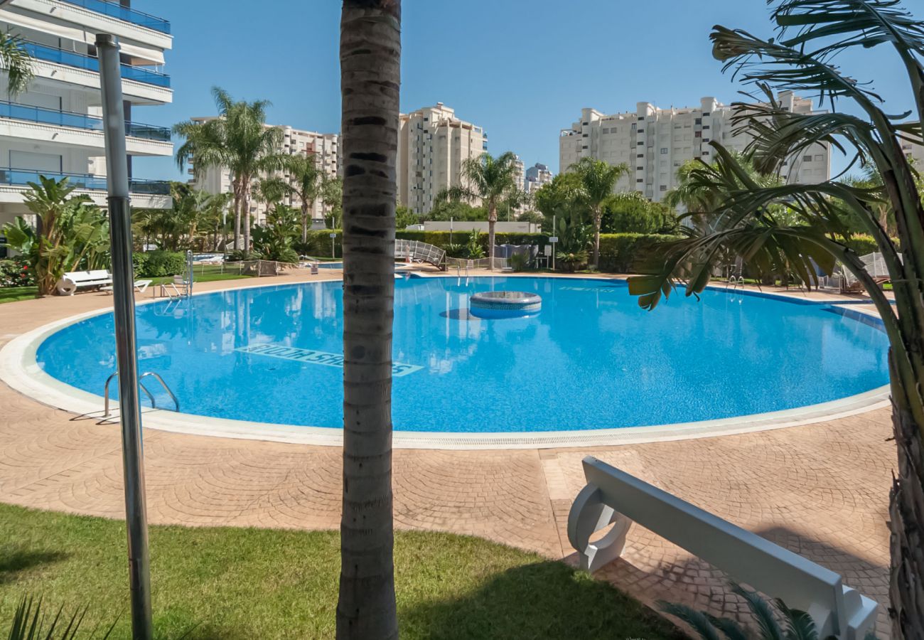 Apartment in Playa de Gandía - Beautiful property with 2 bedrooms. Swimming pool. Free Wifi, Sauna