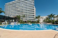 Apartment in Playa de Gandía - Beautiful property with 2 bedrooms. Swimming pool. Free Wifi, Sauna