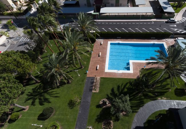 Apartment in Playa de Gandía - Beautiful condo family near to the beach. Pool / Wifi  Apartment in Playa de Gandía - Beautiful condo family near to the beach. Pool / Wifi