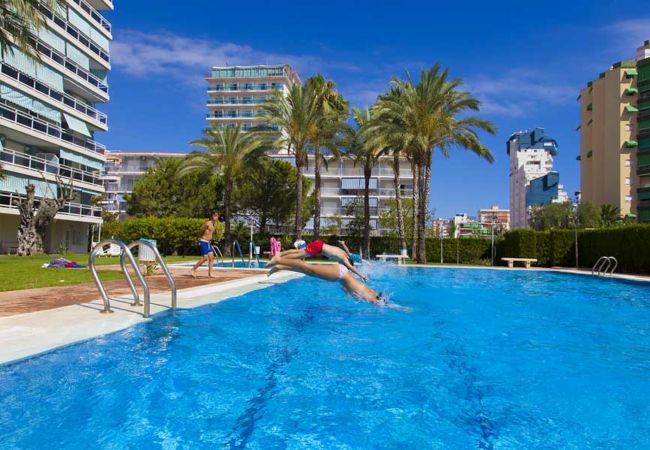 Apartment in Playa de Gandía - Beautiful property with 2 bedrooms. Swimming pool. Wifi Apartment in Playa de Gandía - Beautiful property with 2 bedrooms. Swimming pool. Wifi