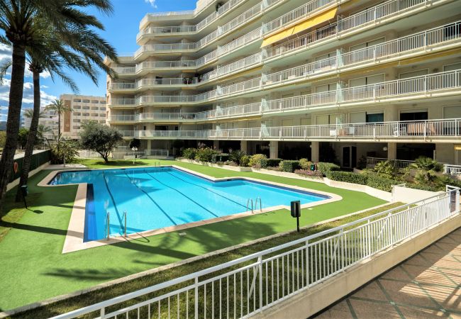 Apartment in Playa de Gandía - Apartment with amazing Ocean Views / Pool  Apartment in Playa de Gandía - Apartment with amazing Ocean Views / Pool