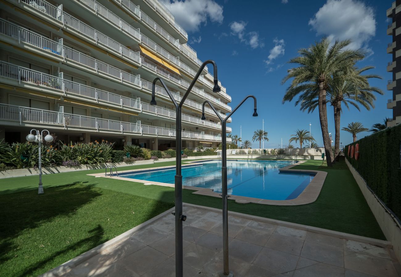 Apartment in Playa de Gandía - Amazing Ocean Views / Pool 