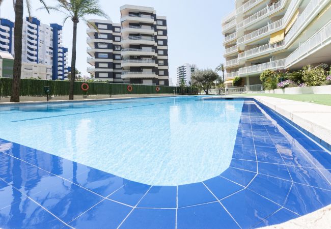 Apartment in Playa de Gandía - Ocean view condo located in front of the beach with sunny terrace Apartment in Playa de Gandía - Ocean view condo located in front of the beach with sunny terrace