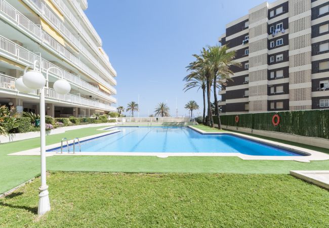 Apartment in Playa de Gandía - Ocean view condo located in front of the beach with sunny terrace Apartment in Playa de Gandía - Ocean view condo located in front of the beach with sunny terrace
