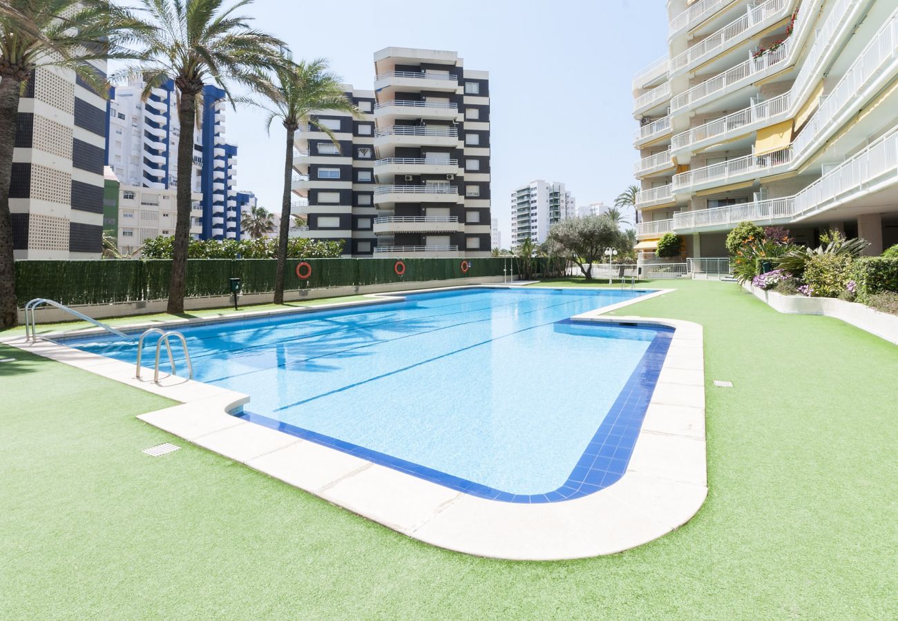 Apartment in Playa de Gandía - Ocean view condo located in front of the beach with sunny terrace