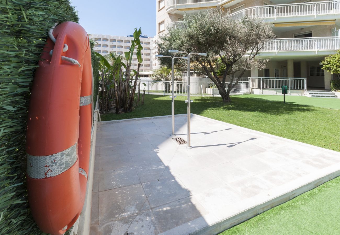 Apartment in Playa de Gandía - Ocean view condo located in front of the beach with sunny terrace