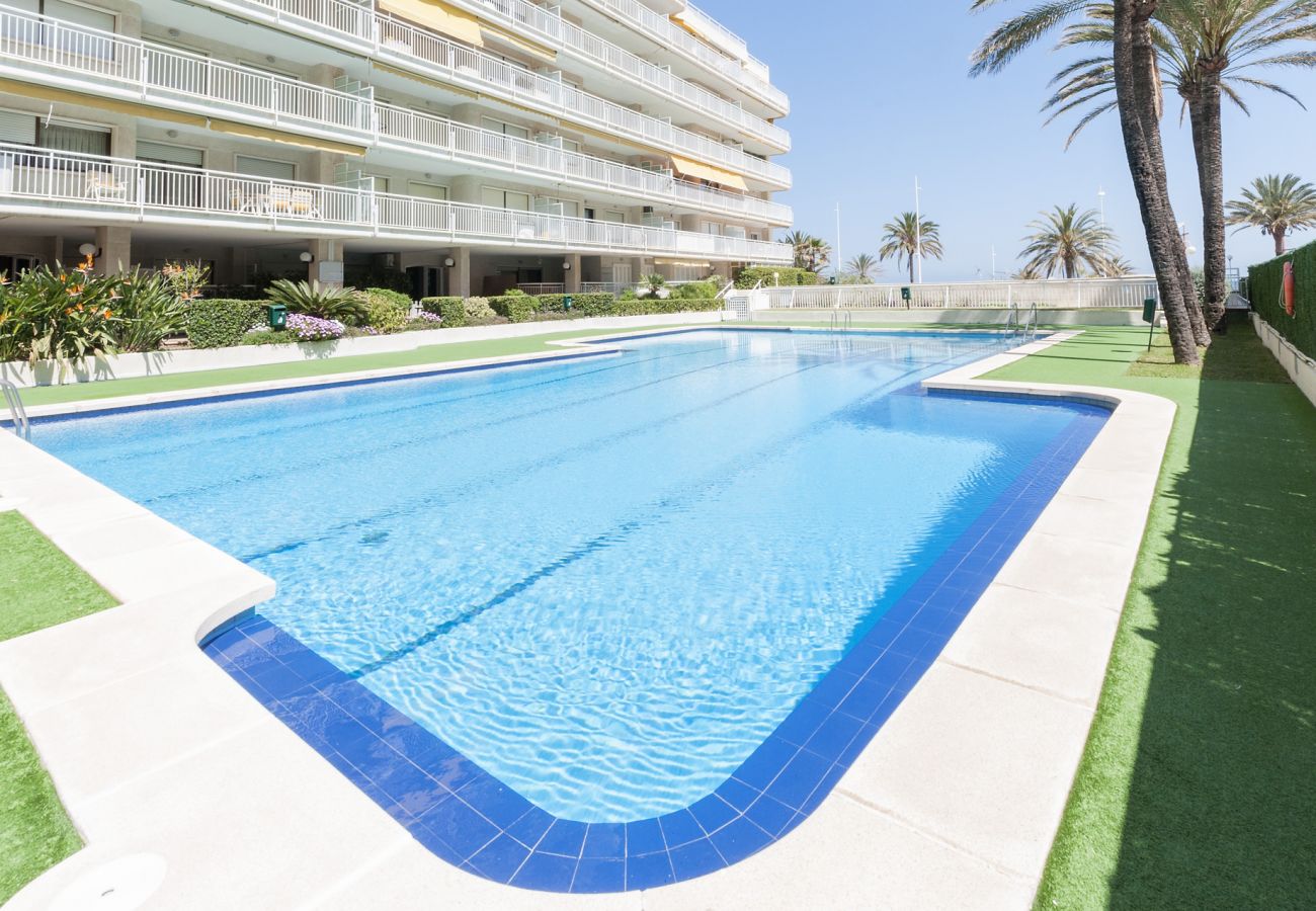 Apartment in Playa de Gandía - Ocean view condo located in front of the beach with sunny terrace