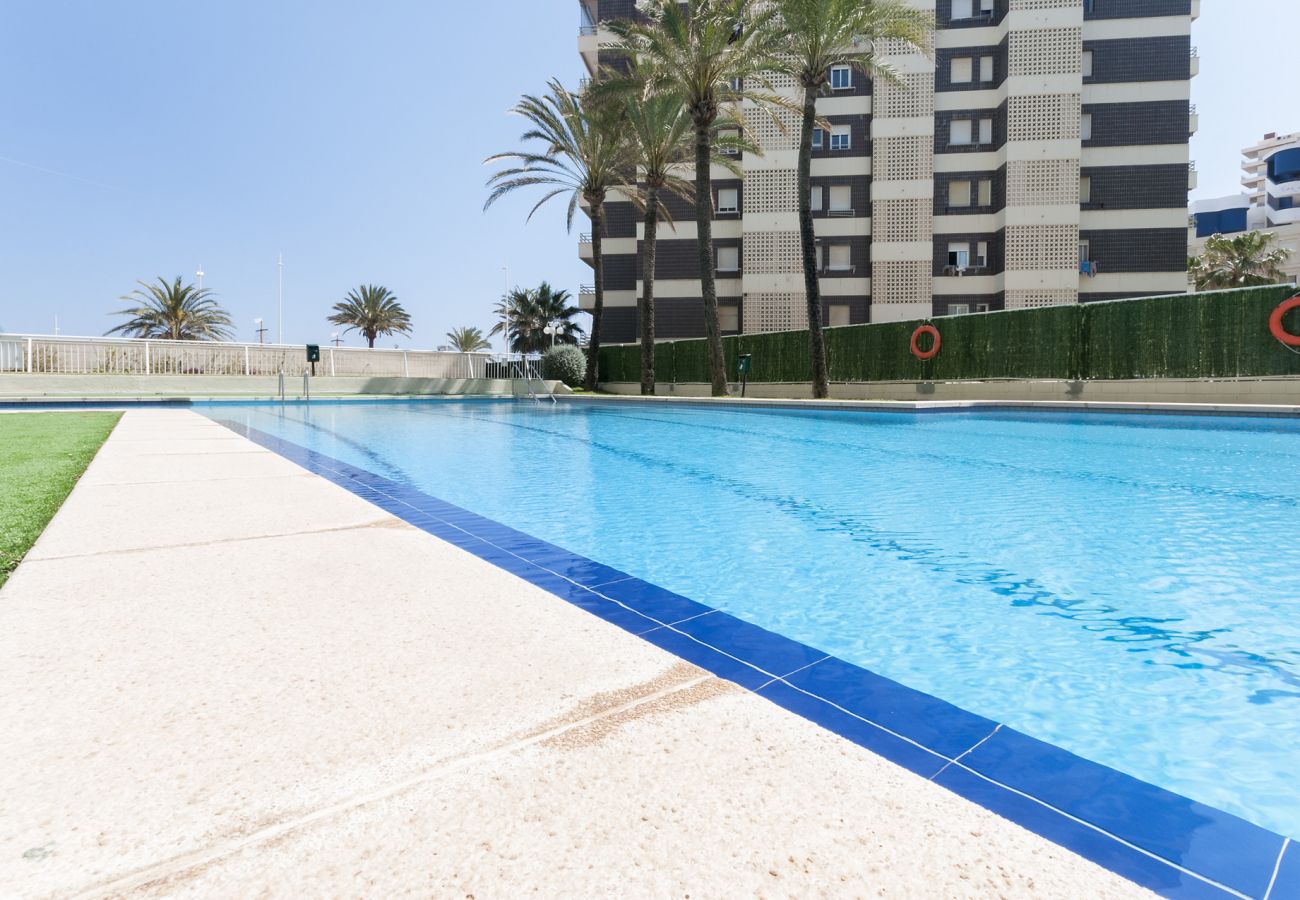 Apartment in Playa de Gandía - Ocean view condo located in front of the beach with sunny terrace