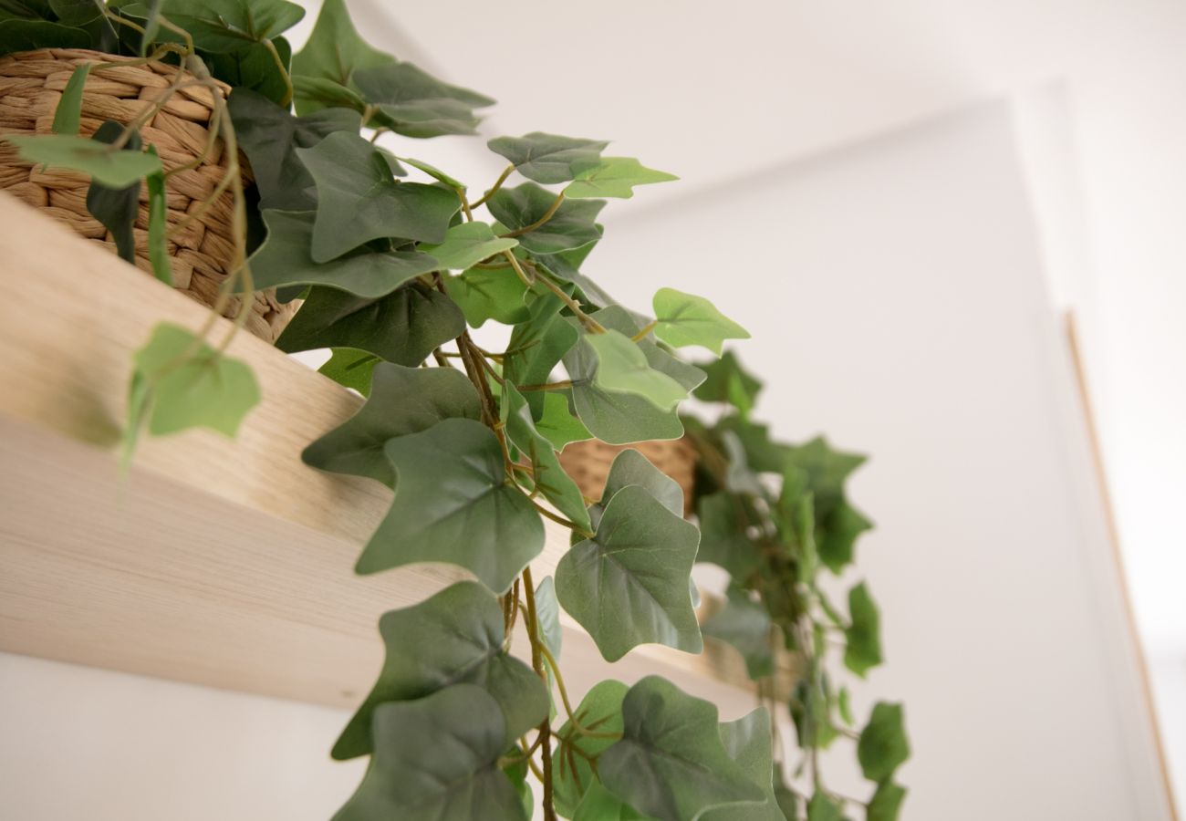 Apartment in Playa de Gandía - Family Getaway To The Beach! Luxurious Seanfront Retreat.